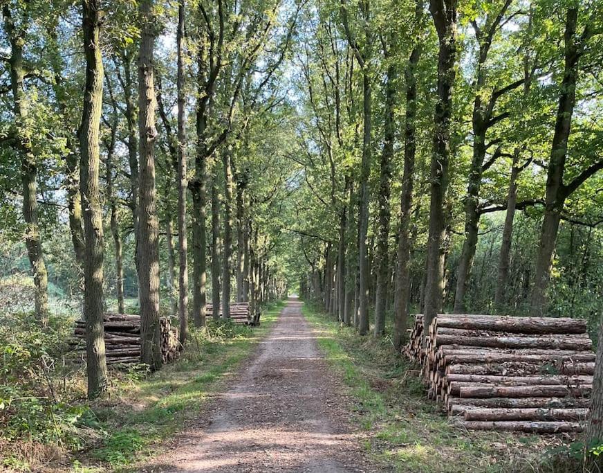 Sfeervol Familielandhuis In De Groene Kempen Baarle-Hertog Kültér fotó